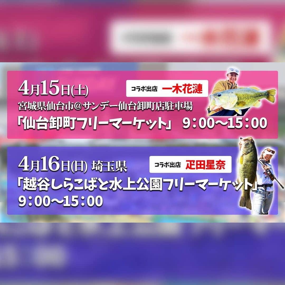 疋田星奈のインスタグラム：「4月16日(日)は埼玉県へ✨ 越谷しらこばと水上公園いきます🥰  秦さんとコラボ出店となります☺️  sena collectionsブースでは イベント限定カラーのBukkonuki Tシャツやもう少ししかないZIPパーカーとロンT、CAPも持って行きます🫣 定番のステッカーとTシャツ、キーホルダーもあります☺️  アパレルは在庫のサイズが合えばラッキー🍀✨な感じですので皆様ぜひ💕  お待ちしております🥰  #埼玉県 #しらこばと水上公園 #釣りイベント #フリマ #秦拓馬 #疋田星奈」