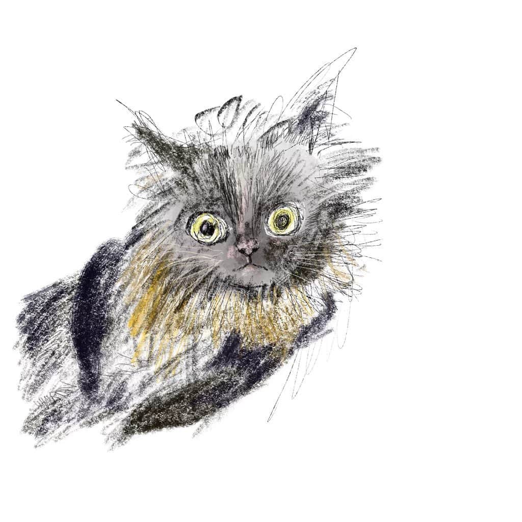 のインスタグラム：「* 友達が描いてくれた、すみっこ❤︎ 手の黒が濃いのと、まんまる目がそっくり。特に小さい時のすみに。」