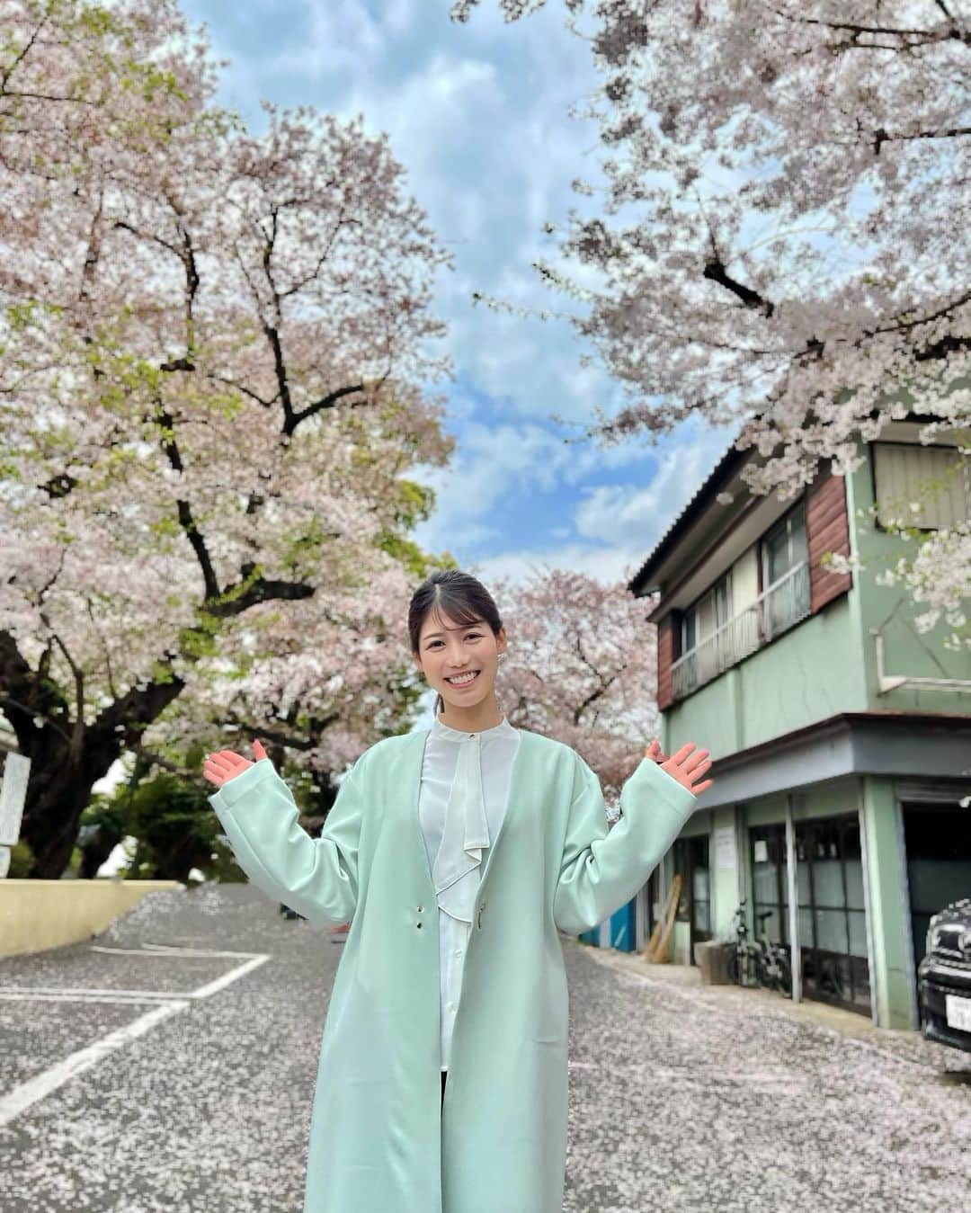 丸山裕理のインスタグラム：「. ◇◆お知らせ◆◇  ４月からNHKでお仕事させていただくことになりました。 . 実はデビューが本日でして、 『おはよう日本(関東甲信越)』の「土曜すてき旅」で ソメイヨシノ発祥の地、東京・駒込を取材しました。 . 見逃し配信はNHKプラスで 全国からご覧いただけます☟ https://plus.nhk.jp/watch/st/g1_2023040832473  ※配信は4/15(土) 午前7:59 まで  新しく学べる環境に感謝して 今年度もがんばりますので 見かけたらそっと応援いただけますと幸いです。  今後ともどうぞよろしくお願い致します。 . #NHK #NHK総合 #NHK首都圏  #おはよう日本 #土曜すてき旅  #アナウンサー #フリーアナウンサー #リポーター」