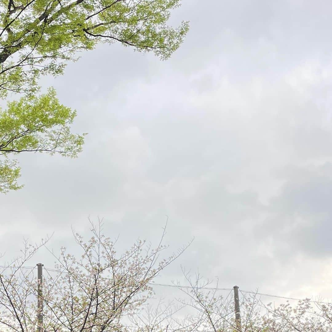 久恒美菜さんのインスタグラム写真 - (久恒美菜Instagram)「風に吹かれても雨に打たれても、いい日でした。  みんなでまたお花見しようね。カラオケにも行こうね。くだらない事で大きい声出して笑いながら楽しくお酒を飲もうね。やっぱりとても、めちゃくちゃさみしいです。大好きだよ！  ♡」4月9日 0時55分 - _mimico_