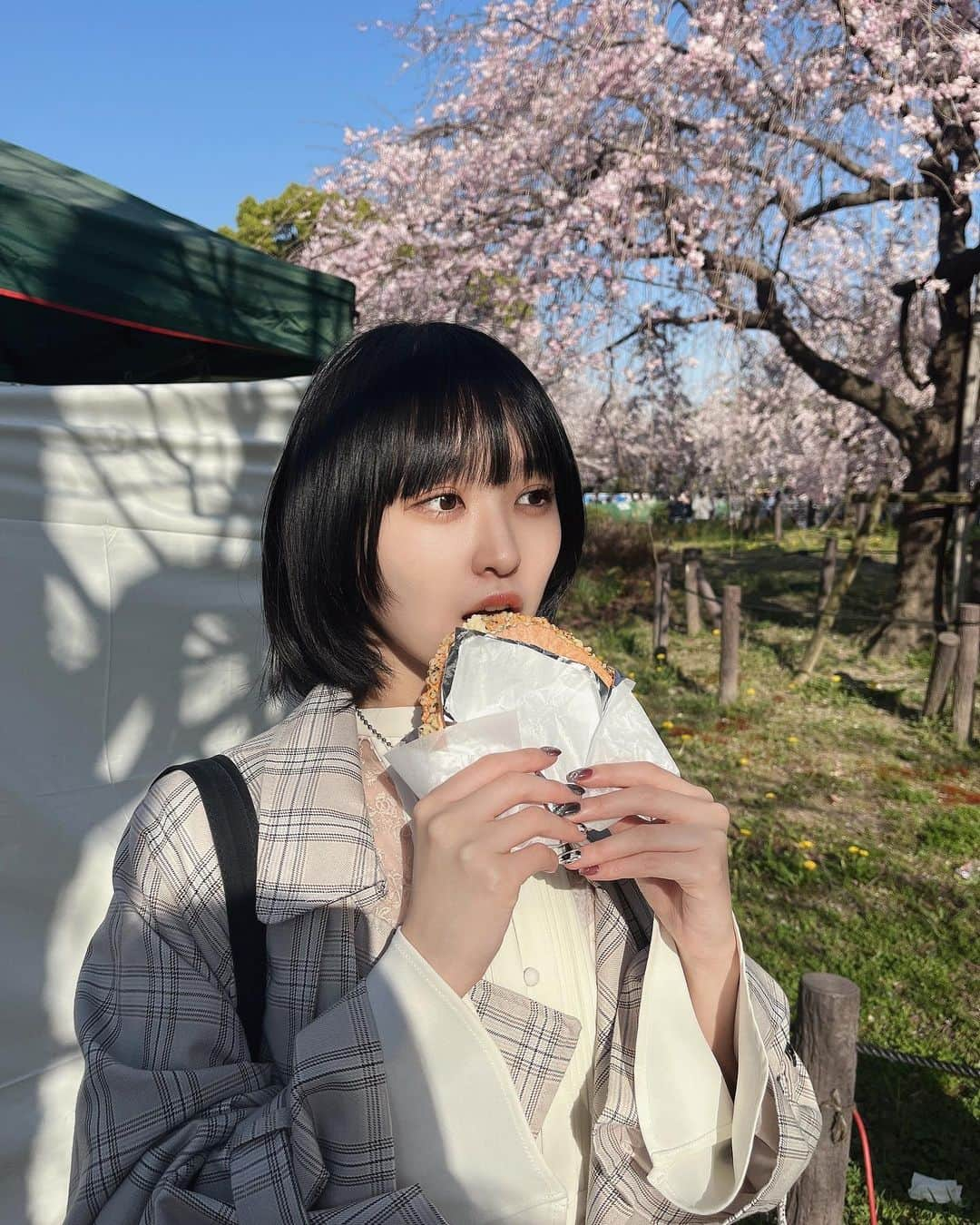 香田メイのインスタグラム：「鶴舞公園のお花見🌸」