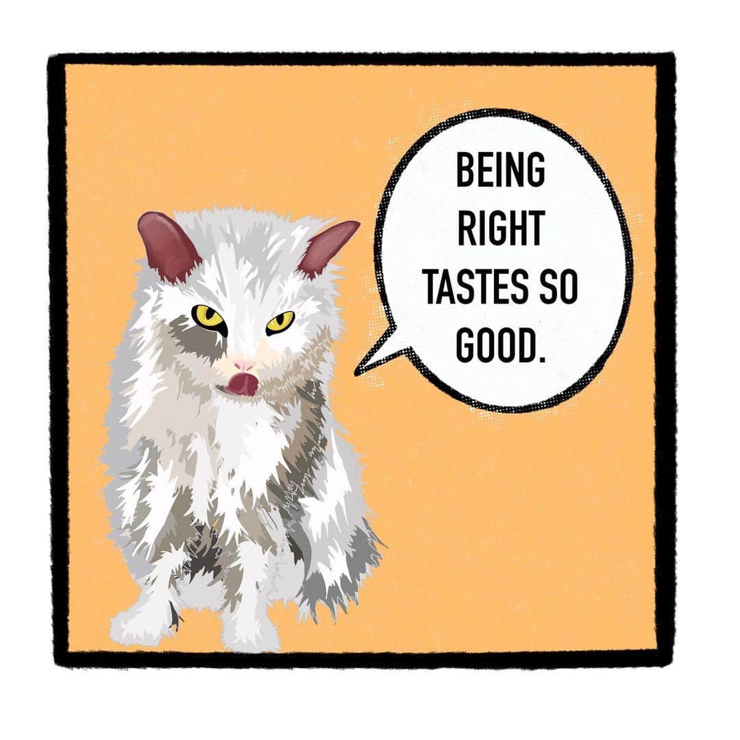 アルベルトのインスタグラム：「Being right is exhausting  . . . . #cats #cat #pompousalbert」