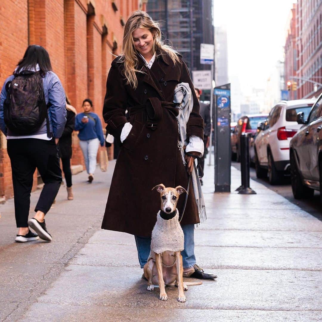 The Dogistさんのインスタグラム写真 - (The DogistInstagram)「Tulip, Whippet (2 y/o), Prince & Crosby St., New York, NY • “For a Whippet, she’s really friendly – not at all aloof or skittish. She truly is either a million miles an hour or sleepy. My mom hand knitted her sweater.”」4月9日 0時06分 - thedogist