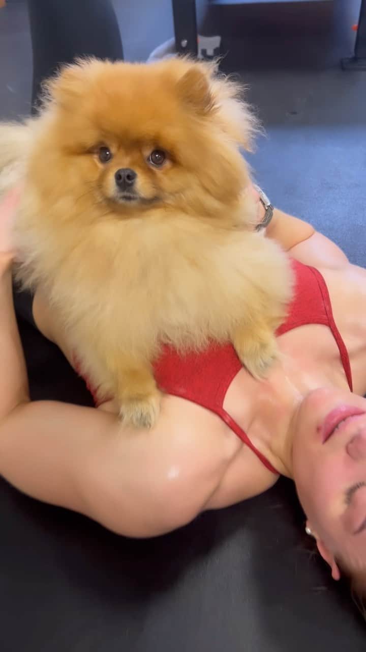 のインスタグラム：「I had echo intervals yesterday that left me on the floor (maybe hyperventilating, maybe not 🤣) & my little guy comes right over to me to make sure I am ok! 🫶🏼❤️🥹 oh my heart! Anyways: check out his wild boy scruffiness & enjoy it because he’s getting groooomed today woop woop! 🫧🛁🧽✨」