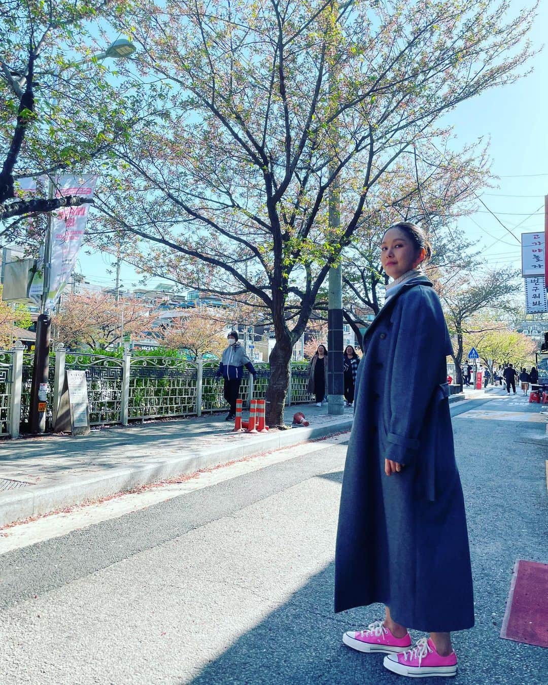 のインスタグラム：「꽃잎이 다 떨어진 성북천벚꽃축제🌸 날씨는 예쁘다😍」