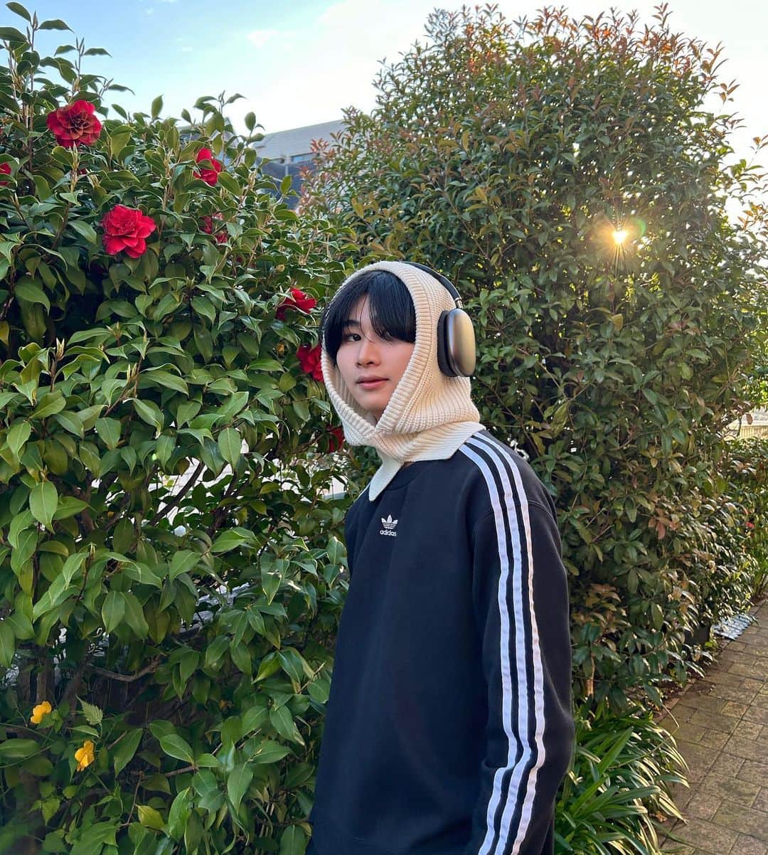 鈴木志音のインスタグラム：「Flower🌹🕊️  みんなの好きなお花教えて！   #おんおん日記」