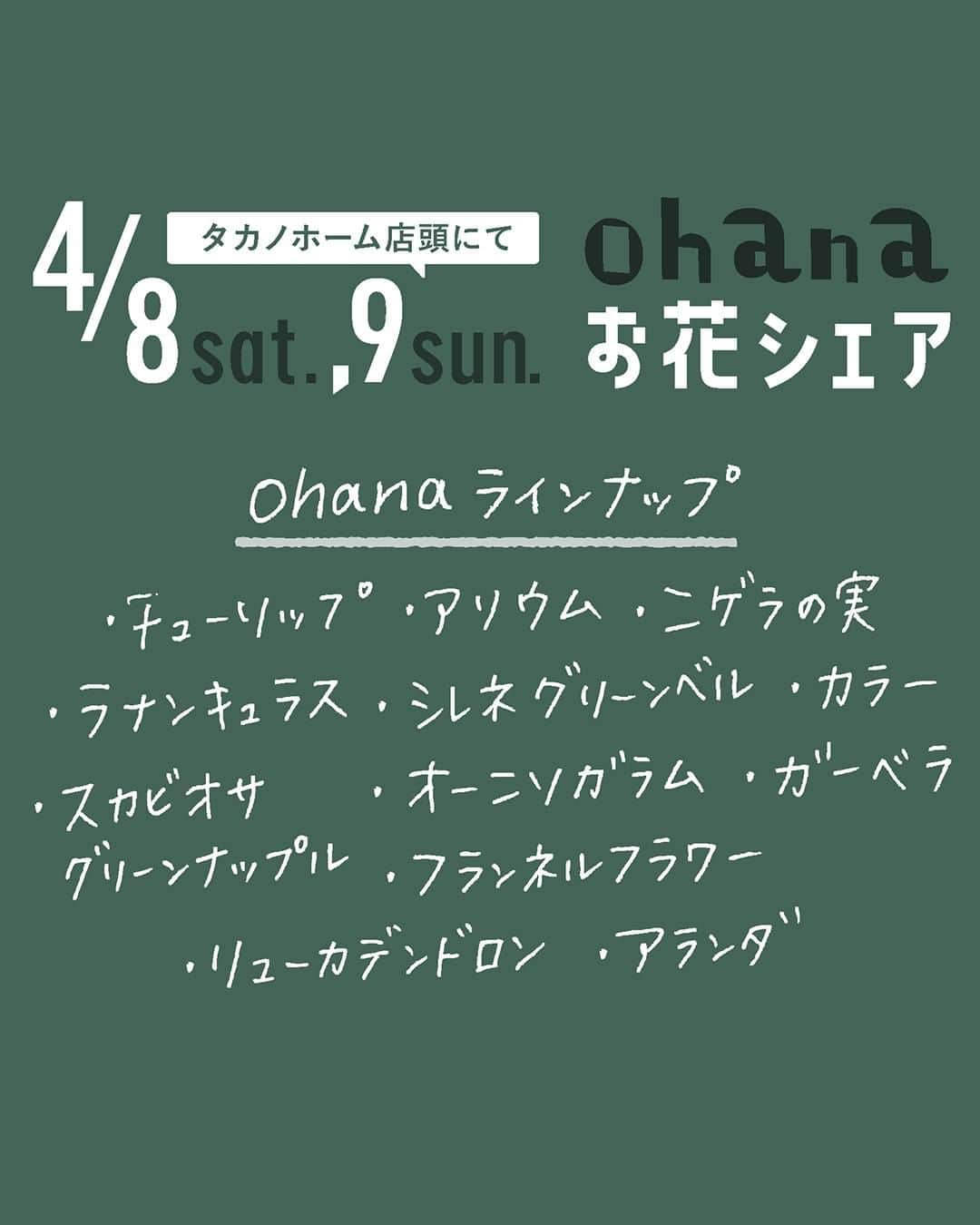 takanohomeさんのインスタグラム写真 - (takanohomeInstagram)「【春のひらめきイベント！第２弾！】 花の持ちがいい季節のうちにもう1回！ 今回のお花スタンド ディスプレイ完了しました！  4/8(土),9(日)の2日間に タカノホームへ お立寄りいただいた方に お花を一輪プレゼント！  大きな花束から一輪ずつ シェアするように お持ち帰りいただいて、 お家のお好きな場所に 飾っていただけると、 嬉しいです😊  プレゼントに使っていただいても🙆‍♂️  写真は前回の様子です！ 当日の仕入れ状況次第の お花ラインナップとなります  女性はもちろん、男性にも お選びいただいています！  モデルハウス見学したいなぁや 近所にきたついでにでも フラリとお越しください！  もちろん！ 前回、お持ち帰りいただいた方も またまたどうぞ！ 楽しみにお待ちしています😊  #チューリップ #アリウム #ニゲラの実  #ラナンキュラス #シレネグリーンベル  #カラー #スカビオサグリーンナップル  #オーニソガラム #ガーベラ #フランネルフラワー  #リューカデンドロン #アランダ   #タカノホーム福岡 #takanohome #家 #暮らし #暮らしを楽しむ #インテリア #lifestyle #house #home #design #interiordesign #福岡新築 #福岡リノベ #花 #flower #花のある暮らし」4月8日 17時13分 - takanohome