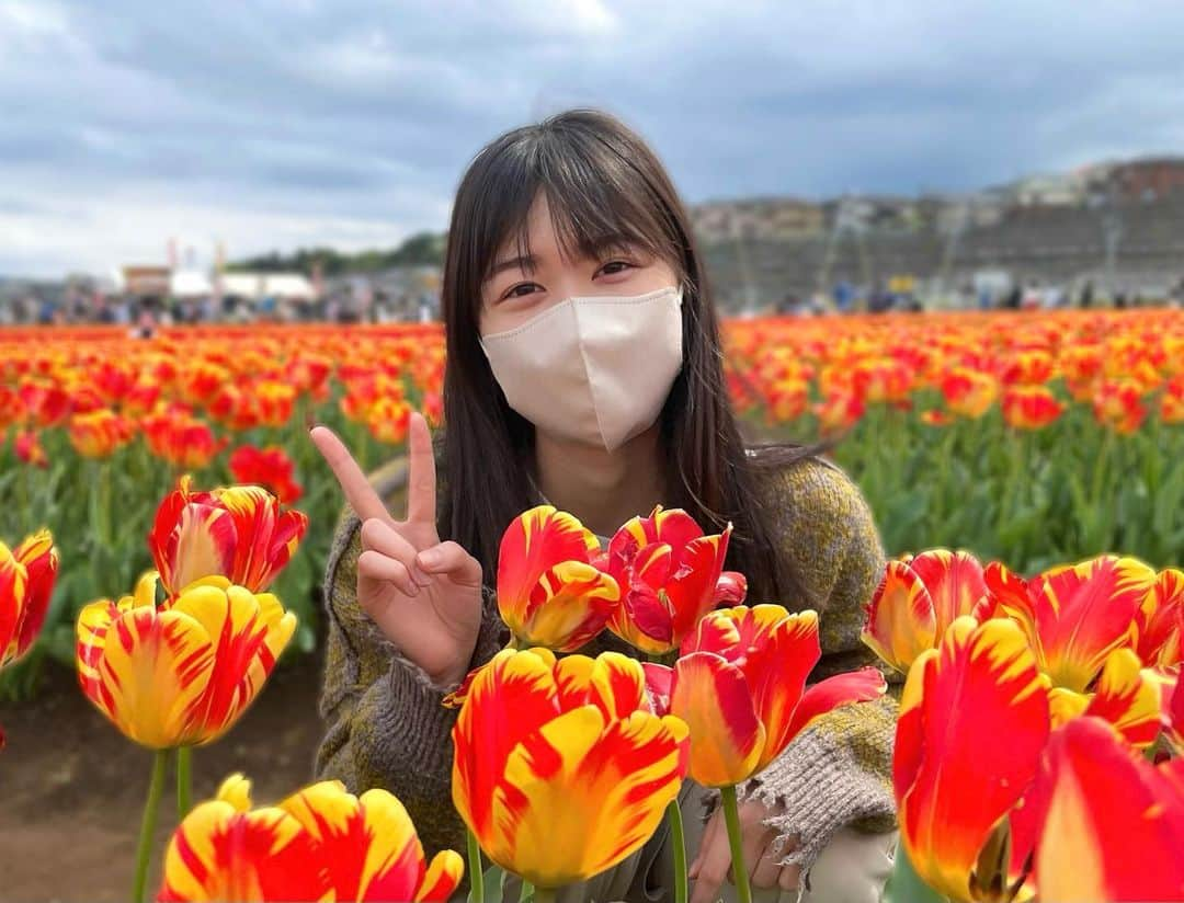 丹生明里のインスタグラム：「🌷  チューリップをみにいきました😆  久しぶりに自然と触れ合うことができてめちゃくちゃ癒されたよー😭  明日からも頑張ろう！✌️  #チューリップ #日向坂46 #丹生ちゃん #nibugram」