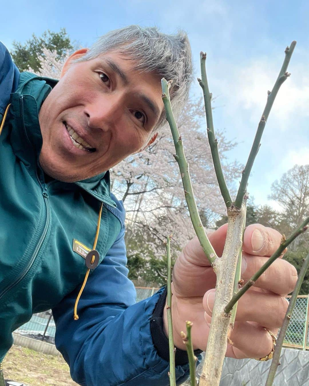 篠原信一のインスタグラム：「庭に南高と白加賀の梅の苗木を植えた😁 来年は、梅の花を見て桜の花も見れる😁 数年後には梅の実も🤗 春はいい♪ #庭  #庭木  #梅  #苗木」