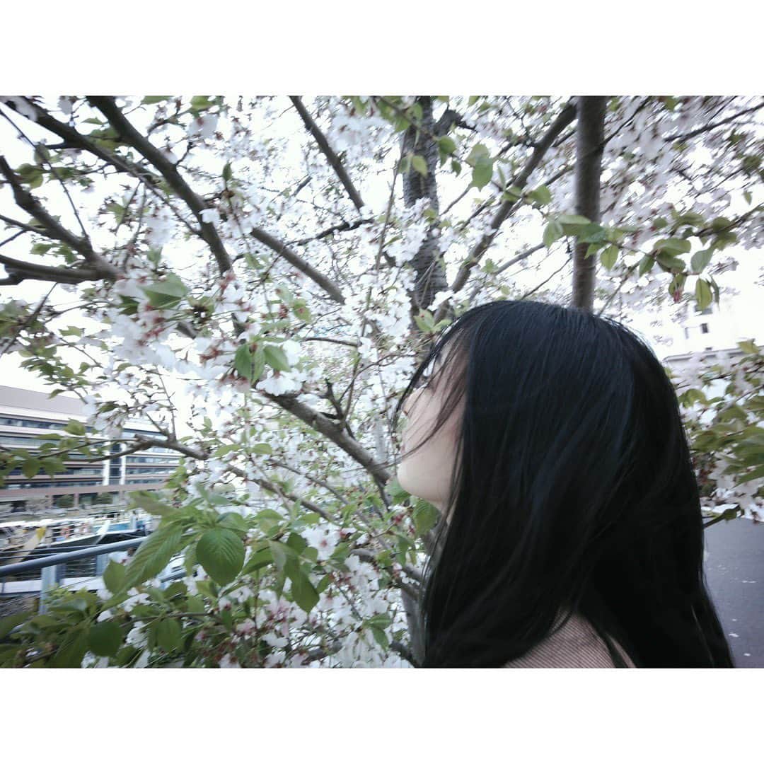 長尾寧音さんのインスタグラム写真 - (長尾寧音Instagram)「🌸 ⁡ ⁡ ⁡ ギリギリ桜と一緒に写真撮れた☺️🌸 ⁡ ⁡ ⁡ ⁡ ⁡ ⁡ #papershoot」4月8日 17時47分 - nagaoshizune_official