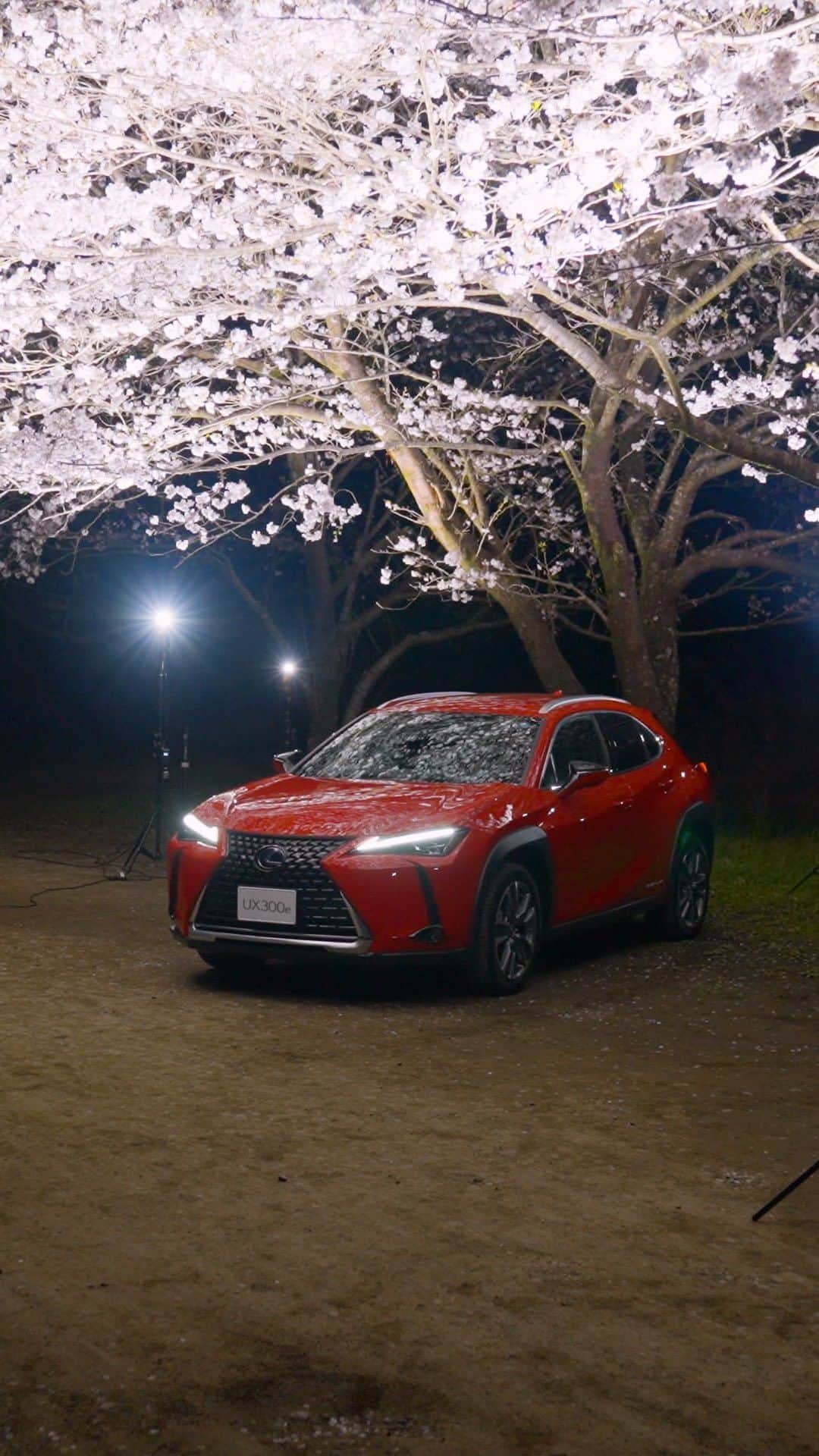 LEXUS / レクサスのインスタグラム：「Lexus Sakura week day6  #Lexus #LexusUX300e #UX300e #lexusgram #lexuslife #lexusjpphotography  #SUV #BEV #carsofinstagram #carlifestyle #carphotography  #LexusGallery #drive #redcar #luxury #lexusnation #dailylexus #carlovers #carlove #carscene #caraddict #carculture #automobiles #fastcar #carnews #carcollection #nicecar #instacars #automotivephotographer」