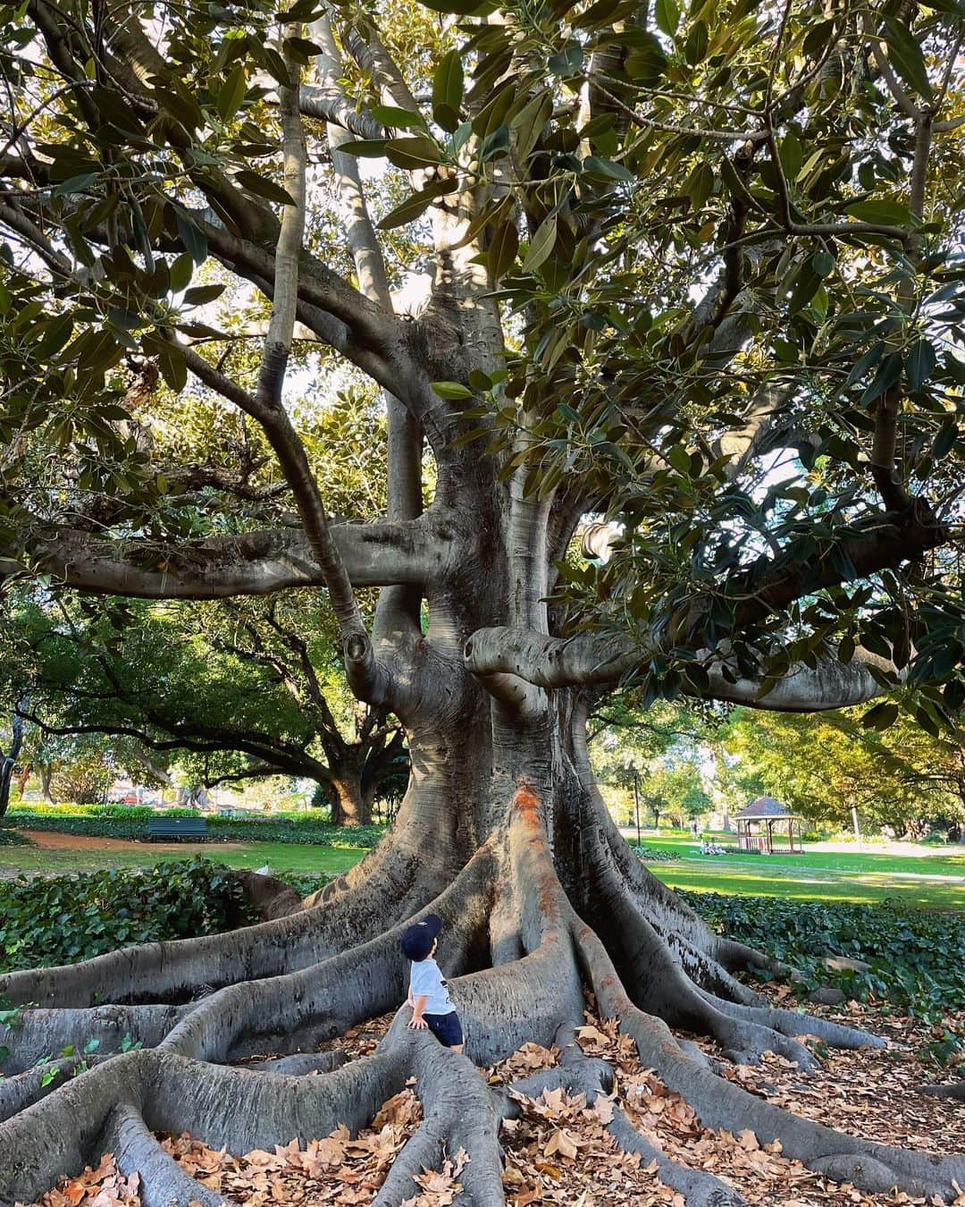 福間文香さんのインスタグラム写真 - (福間文香Instagram)「"Hyde Park" 1番大好きな公園🌳  @millerandbaker  @chubakery  @artemcoffee   コーヒーとパンを買ってお散歩するのがいつものコース🥐☕️  遊具もあって👦🏻も大好きでした♡  #throwbackperth  #memories #perth2021-22 #Hydepark #Perth #australia」4月8日 18時10分 - ayakafukuma