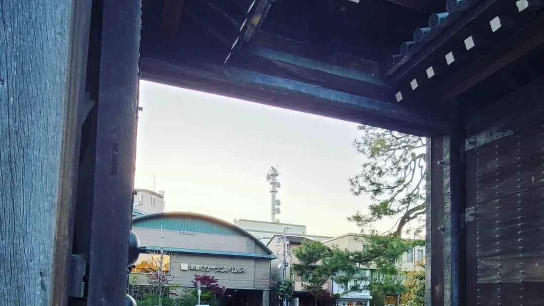 竹内弘一さんのインスタグラム写真 - (竹内弘一Instagram)「夕方、取材の帰り道に愛機と京都 日仏学館からKBSさんまで歩きました。 きょうは空気がピリッと引き締まって 夕暮れ時の京都は泣きたくなるぐらい どこを見てもキレイでした！ こんな街で住むことができて 仕事させてもらえて本当に感謝です。  #京都 #kyoto #鴨川 #kamogawa  #京都御苑 #夕景」4月8日 18時23分 - takeuchi_koichi