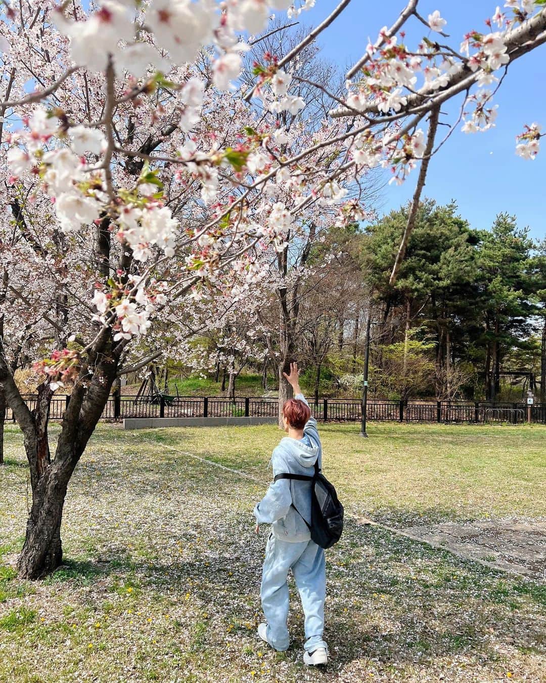 ドギョムさんのインスタグラム写真 - (ドギョムInstagram)「벚꽃 안녕🌸」4月8日 18時15分 - dk_is_dokyeom
