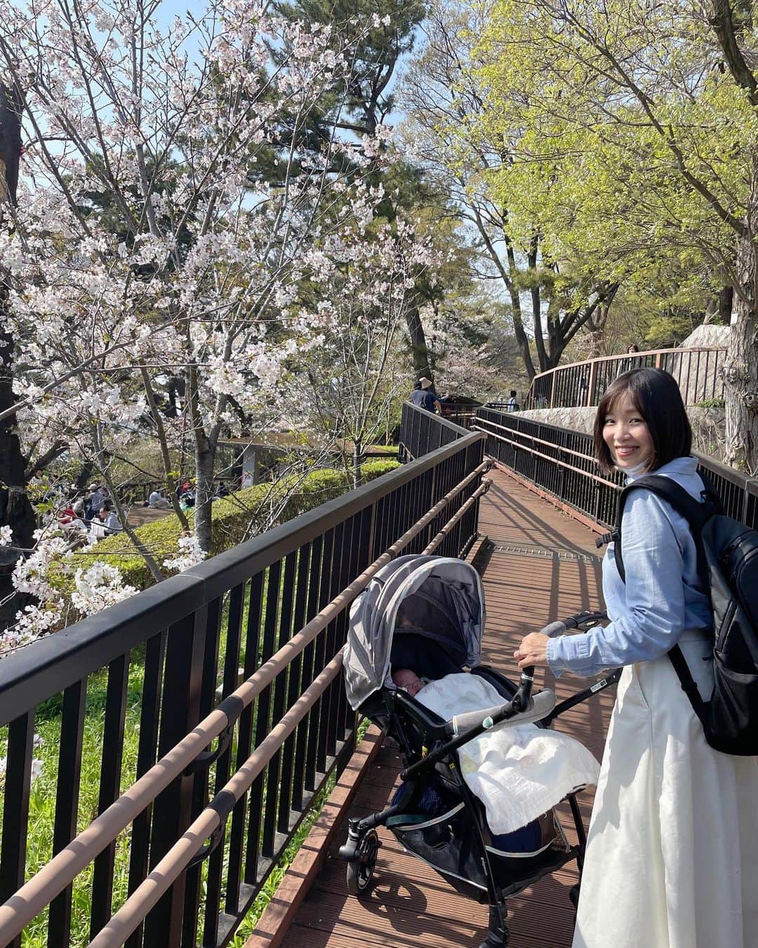 天舞音さらのインスタグラム：「一年で1番好きな季節🌸  雨の日が続いたから、今年はお花見諦めかなぁと思ってたけど、なんとか晴れのタイミングで滑り込み成功😊😊👍  来年はもう少しゆっくり見れるかなぁ☺️🫶  #お花見#桜 #cherry blossoms」
