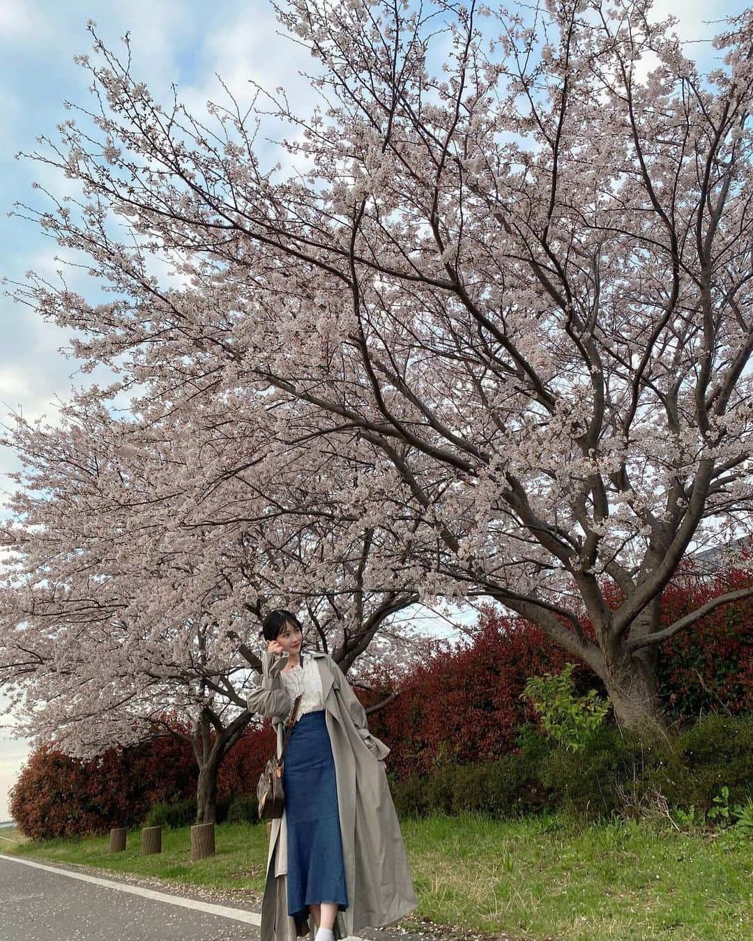 佐藤妃星のインスタグラム：「📸🌸🌿  最近はもう葉桜だよね～😯  #akb48 #佐藤妃星 #河川敷 #桜 #🌸」