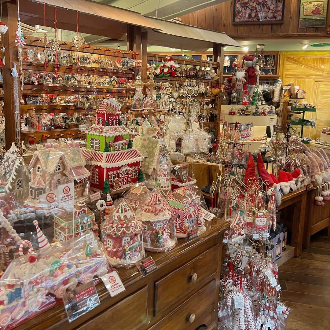 松井朝海のインスタグラム：「家族と行った沖縄🎅🏼  アメリカンビレッジのクリスマスマーケットが最高に可愛かったの🥹」