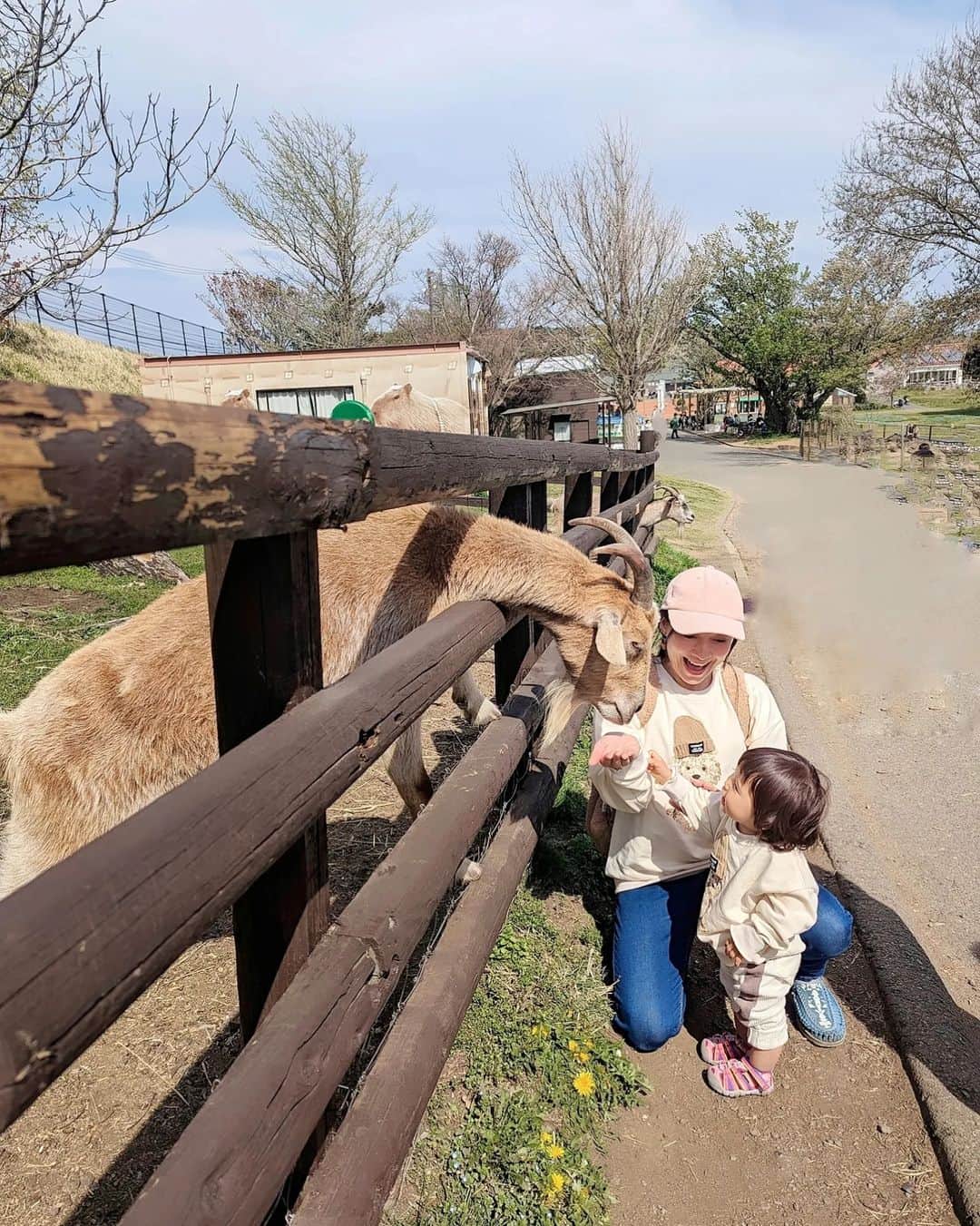 芳美リンさんのインスタグラム写真 - (芳美リンInstagram)「🗾マザー牧場/千葉　MOTHER FARM/Chiba  初めてのマザー牧場！  先日まで、大きな動物は怖がっていたけど、 だいぶ慣れてきました。🐴🐏🐐  メェメェ〜て、喜んでいました(^^) 柵がないと少し怖いけど、恐る恐るタッチ！  この日は、テディベアのトレーナーでリンクコーデ♡  ここまでガッツリお揃いは初めてですが、 自分の服と私の服を交互にみて、 “あ、わんわん♡”って嬉しそうにしていました。※9割の動物はわんわんって言うのですU^ｪ^U  オソロ、理解できたかなー？  PR @joli.shop.2023 #子ども服通販 #子ども服コーデ #子ども服セレクトショップ #まなまなファミリー #りんくこーで #海外輸入品 #海外輸入セレクトショップjoli#リンクコーデ#シミラーコーデ#親子リンク #マザー牧場#子連れ旅#トラベルトドラー#keenjapan#keen」4月8日 18時56分 - lynn.lynn5