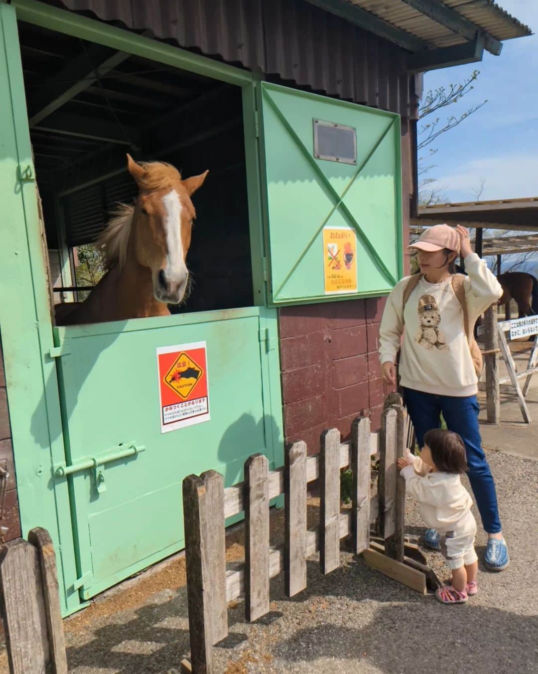 芳美リンさんのインスタグラム写真 - (芳美リンInstagram)「🗾マザー牧場/千葉　MOTHER FARM/Chiba  初めてのマザー牧場！  先日まで、大きな動物は怖がっていたけど、 だいぶ慣れてきました。🐴🐏🐐  メェメェ〜て、喜んでいました(^^) 柵がないと少し怖いけど、恐る恐るタッチ！  この日は、テディベアのトレーナーでリンクコーデ♡  ここまでガッツリお揃いは初めてですが、 自分の服と私の服を交互にみて、 “あ、わんわん♡”って嬉しそうにしていました。※9割の動物はわんわんって言うのですU^ｪ^U  オソロ、理解できたかなー？  PR @joli.shop.2023 #子ども服通販 #子ども服コーデ #子ども服セレクトショップ #まなまなファミリー #りんくこーで #海外輸入品 #海外輸入セレクトショップjoli#リンクコーデ#シミラーコーデ#親子リンク #マザー牧場#子連れ旅#トラベルトドラー#keenjapan#keen」4月8日 18時56分 - lynn.lynn5