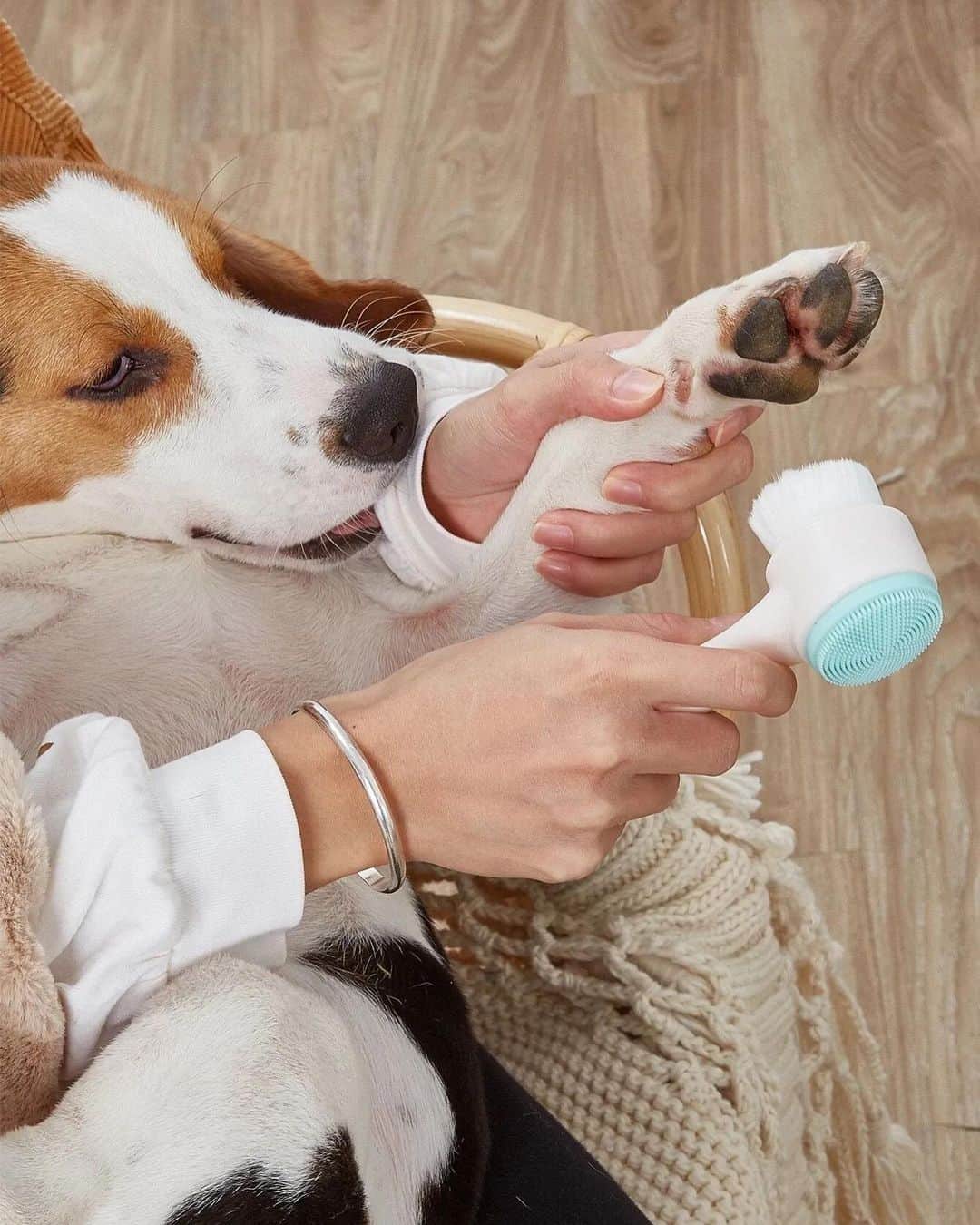 SHEINさんのインスタグラム写真 - (SHEINInstagram)「Your pupper deserves the paw-fect trim 🐾✂ Get them looking fur-esh with our pet grooming tools 🐶  🔎10804301 1956606 9871646  #SHEIN #SHEINforAll #SHEINstyle #fashion #chic」4月8日 21時00分 - sheinofficial