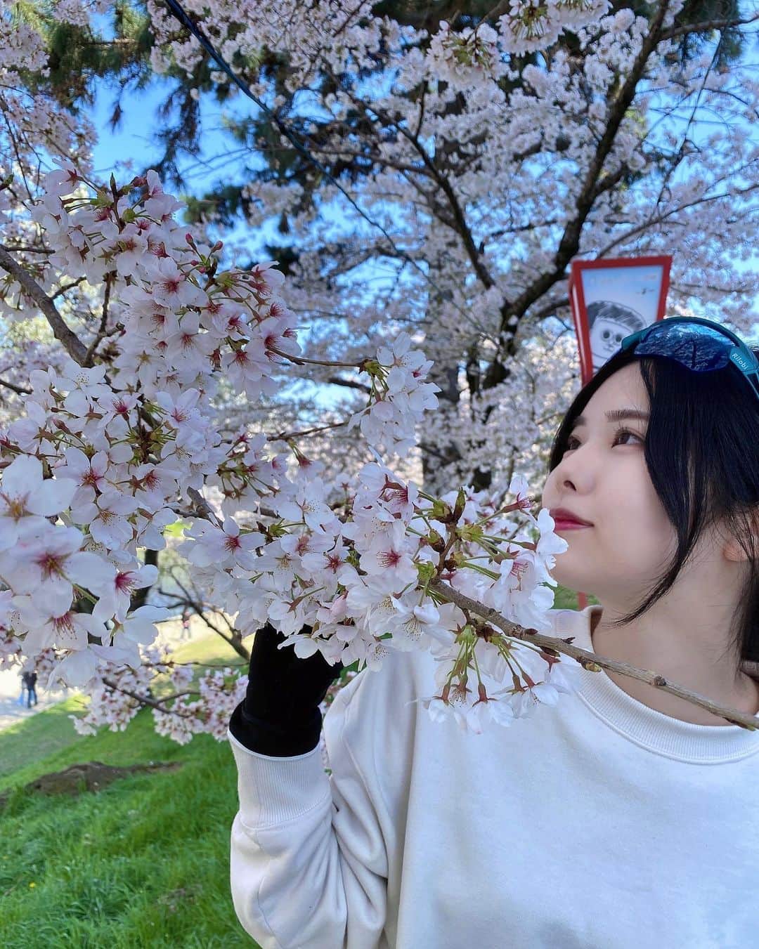 荒野姫楓さんのインスタグラム写真 - (荒野姫楓Instagram)「🌸 今年は桜を沢山みれて満足です！  丁度いい気温と春らしい陽気でとても気持ち良かった〜 またチェレステカラーと桜と緑が合いますね🤤  皆さんはお花見出来ましたか？  出来た方も出来なかった方もこの写真をみて お花見ライド気分味わってくださいな🌸  .   #名古屋 #岡崎 #岡崎桜祭り#桜 #桜スポット #cherryblossom #ロードバイク #ロードバイク女子 #ロードバイク初心者  #自転車のある風景 #cycling #bianchi #roadbike #roadbikegirl #cyclingstyle #cyclingwoman#bikegirl #公路車 #자전거 #로드자전거」4月8日 19時05分 - _arnhmk_