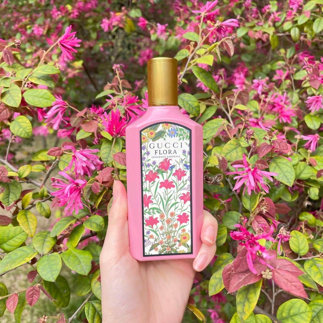 月山京香さんのインスタグラム写真 - (月山京香Instagram)「. グッチ フローラ ゴージャス ガーデニア オードパルファム🌹 ⁡ 神秘的な力を持つと言われている ホワイトガーデニアの華やかな香りは一度身に纏うと 思わず笑顔になれる優雅な香り！ お花が描かれているボトルはキュートさも気品も感じられて持ってるだけで心を躍らせてくれます。 これから暖かくなるし、 気分を上げたいそんな日に使ってみたいな☺︎ ⁡ 幸せな気持ちにしてくれる香りを みんなにもぜひ体験してもらいたい🌷 ⁡ thank you @guccibeauty and @latelierdesparfums_jp  ⁡ ⁡ #Guccibeauty #Florafantasy #グッチフローラゴージャスガーデニア #ラトリエデパルファム #ガーデニアの香り」4月8日 19時13分 - i_am_kyoka_yade
