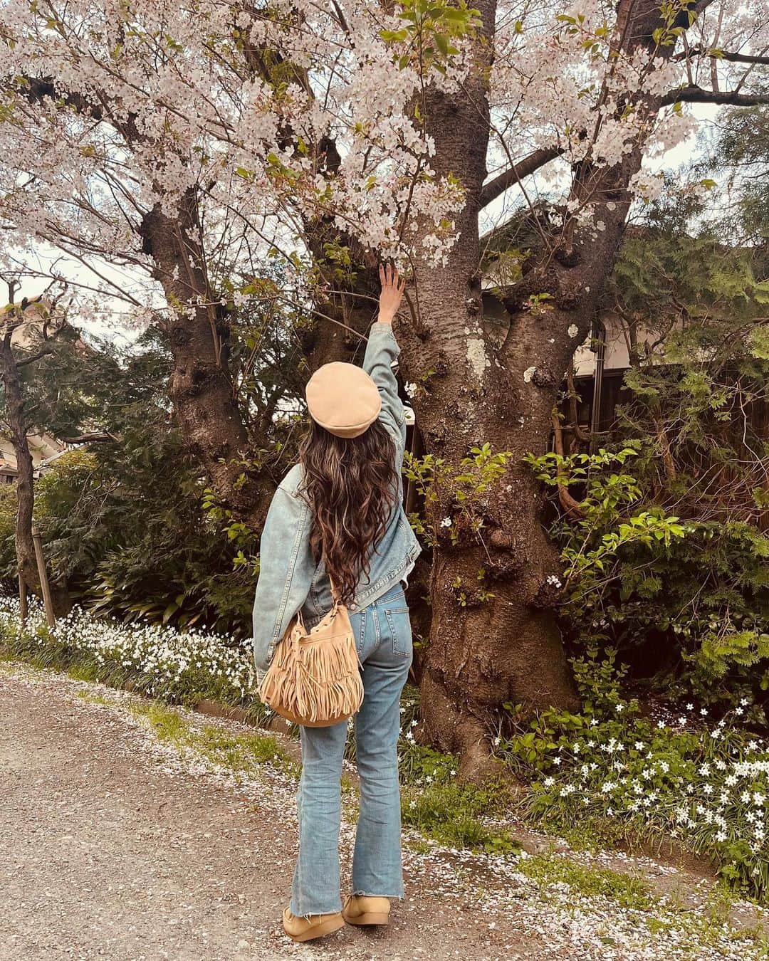 KONDOUMIYUのインスタグラム：「⁡ ⁡ ⁡ 鎌倉方面をドライブしてて たまたま見つけた綺麗な桜たち 🌸💕 ⁡ 有名なお花見スポットより 無名の方がゆっくり見れるから好き 🫰🏽 ⁡ ⁡ ⁡」