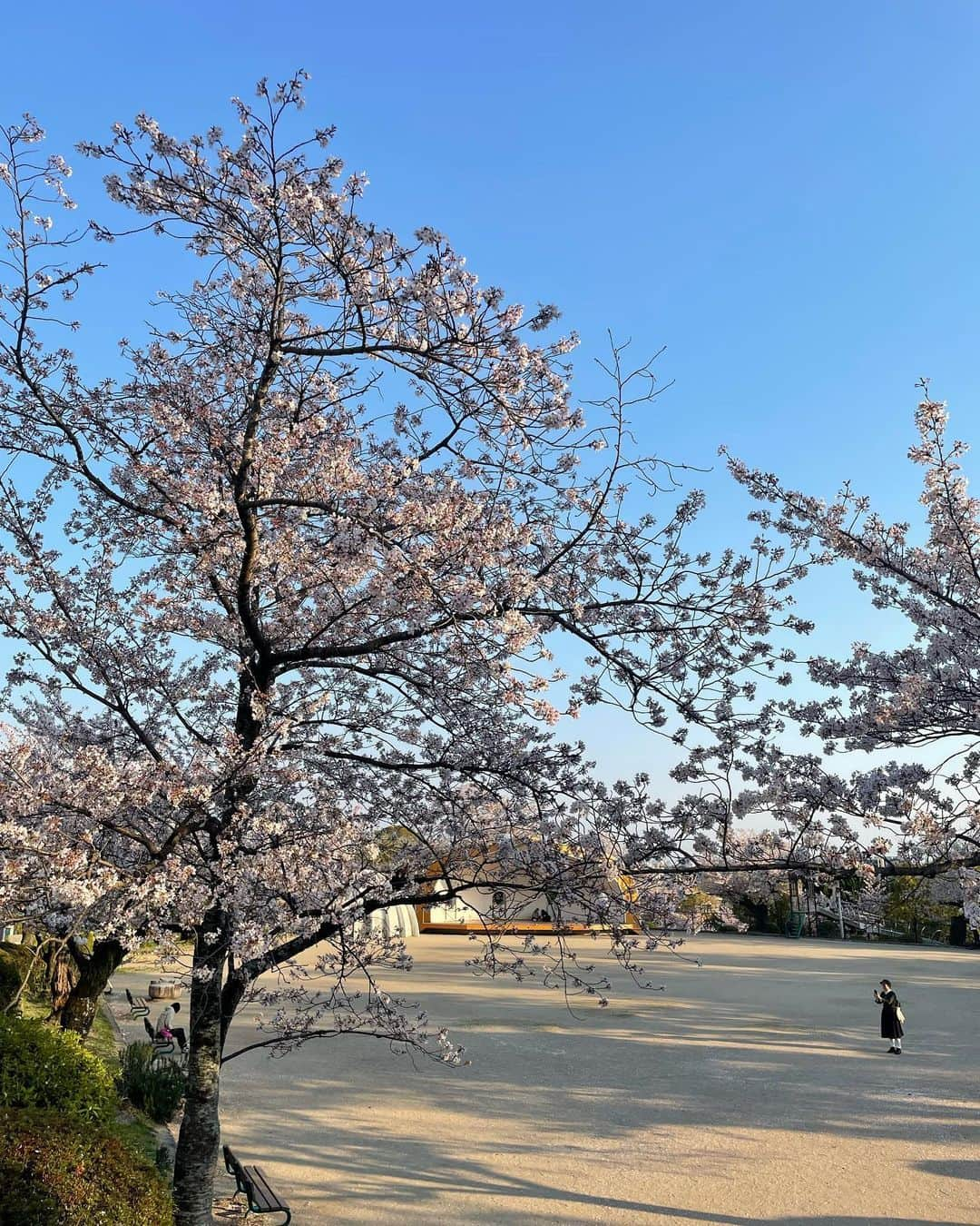 海江田麻貴さんのインスタグラム写真 - (海江田麻貴Instagram)「ㅤㅤㅤㅤㅤ  ㅤㅤㅤㅤㅤ 息を呑む眺めとはこのこと🥲✨✨ 思いがけず見つけた秀望台からの眺め最高だった〜！🩵  ㅤㅤㅤㅤㅤ  ㅤㅤㅤㅤㅤ  ㅤㅤㅤㅤㅤ  ㅤㅤㅤㅤㅤ #秀望台 #五月山 #五月山公園 ㅤㅤㅤㅤㅤ#桜スポット #桜満開 #満開 #cherryblossom #cherryblossoms #花見 #リポーター #タレント #japanesegirl #日本女孩 #五月山 #五月山公園 #お花見」4月8日 19時29分 - _makiii0924_