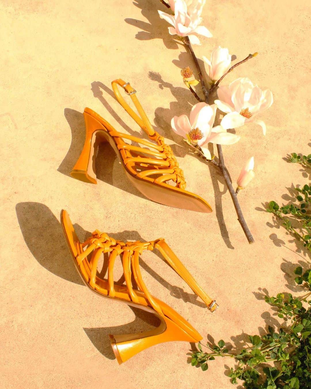 ジャンカルロパオリのインスタグラム：「Daydream of Woven Sandals. Easter time is coming.  Discover more on our website.  #GiancarloPaoli #SpringSummer23 #Woman #Shoes #Sandals」