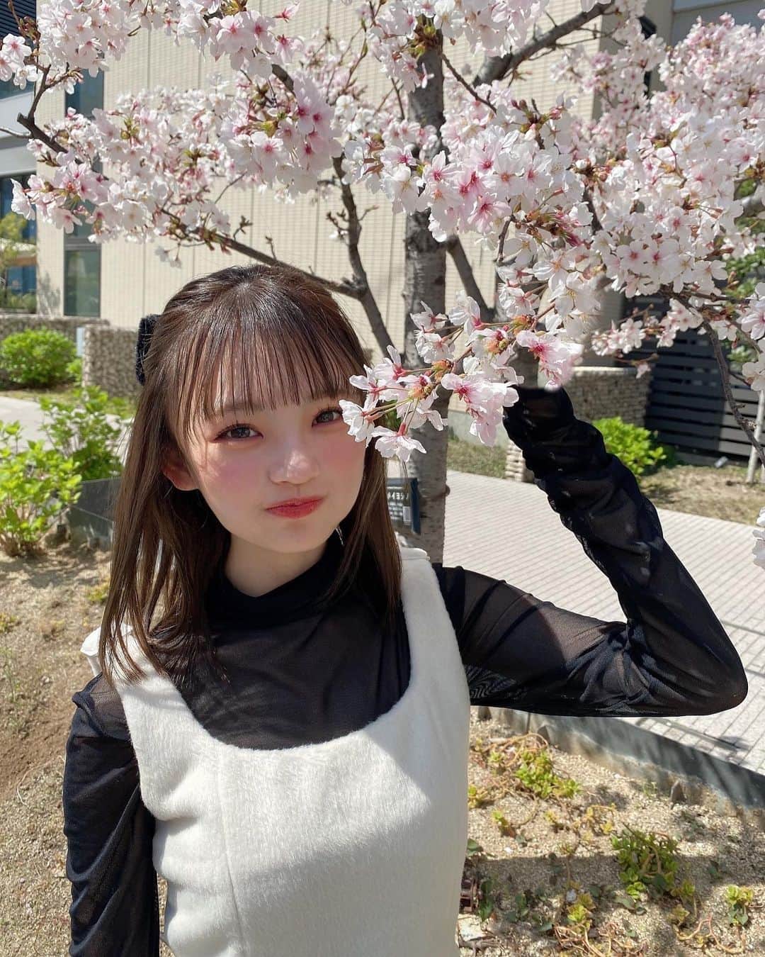 のインスタグラム：「好き...嫌い...好き...嫌い...すき...？🌸 ⠀ ⠀ ⠀ モノクロやけどガーリーなコーデ♡ハートのバッグお気に入りー！  #彼女の私服がかわいい #低身長コーデ #sサイズコーデ #156cm #骨格ウェーブ #イエベ春メイク #お花見 #桜 #darich #ダーリッチ #モノクロコーデ #ガーリーコーデ #大人ガーリー #フレンチガーリー #🌸」