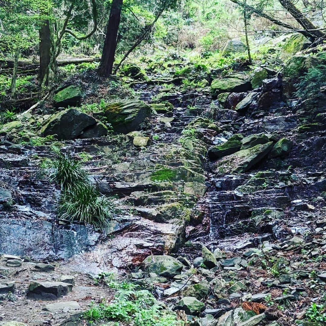 Seiji Kawasakiさんのインスタグラム写真 - (Seiji KawasakiInstagram)「山を登って降りた。岩がちなところを歩いていて、木を彫るのに似た感覚がした。登山は、足をどの位置にどの方向からどの深さでどの程度の力で踏み込むべきかをパッと見て判断しなら歩みを進めていく。木を彫るときも、どの位置にどの方向からどの深さでどの程度の力で彫り込むのか判断しなら彫っていく。」4月8日 20時23分 - seiji_kawasaki