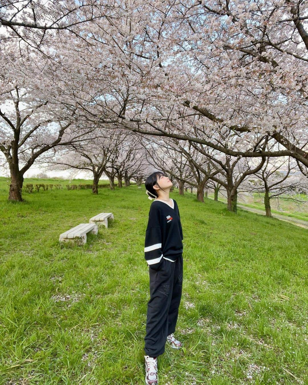 重盛さと美さんのインスタグラム写真 - (重盛さと美Instagram)「🐕🌸🍃✨」4月8日 20時27分 - satomi_shigemori