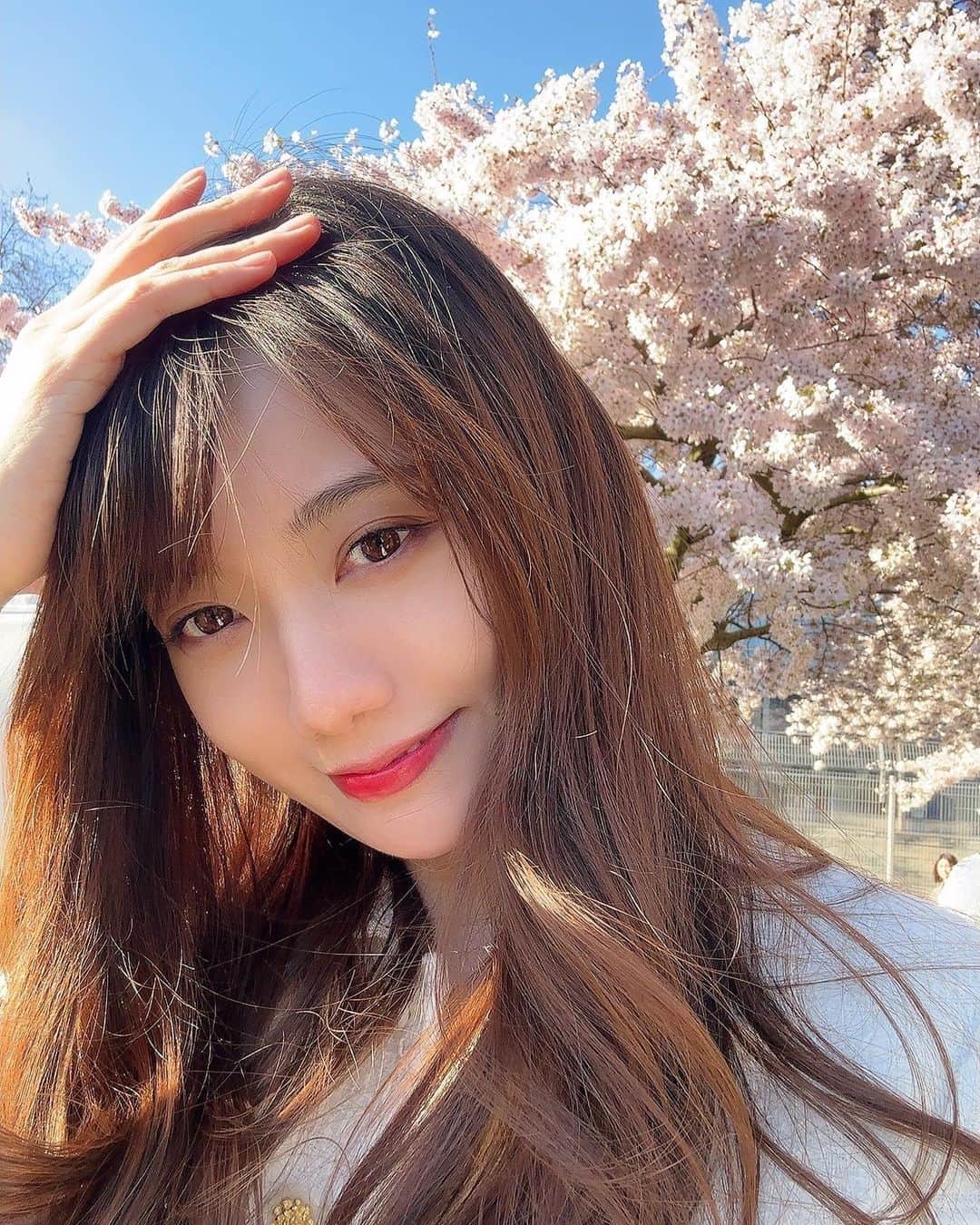 羅晴のインスタグラム：「屬於倫敦的秒速五釐米🌸」