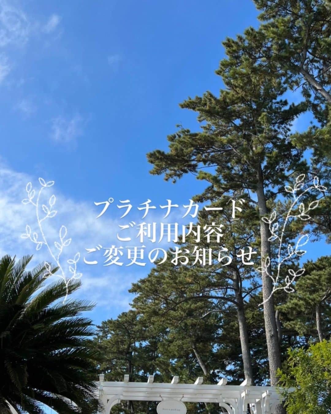 指帆亭のグルメインスタ