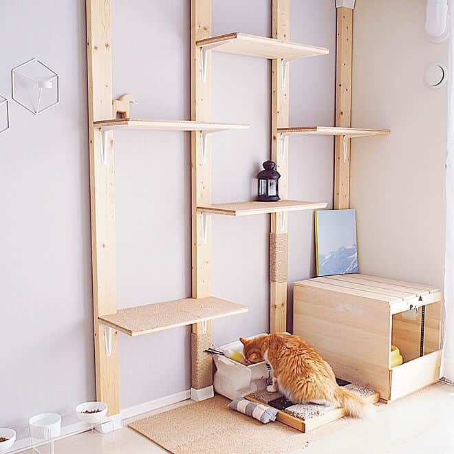 RoomClipJPさんのインスタグラム写真 - (RoomClipJPInstagram)「『猫と子供と暮らす家』リビングには整理整頓されたおもちゃ収納、書斎スペースには猫ちゃんが楽しめそうなDIYキャットウォークを設置したReikoさんのお家。シンプルなお部屋のスタイルをキープしつつ、お子さんも猫ちゃんも楽しく暮らせるアイデアが参考になりますね。  Photo:Reiko(RoomNo.446320)▶︎この部屋のインテリアはRoomClipのアプリからご覧いただけます。アプリはプロフィール欄から⁣  #roomclip #ルームクリップ #オシャレな家 #こだわりの家 #マイホーム計画中の人と繋がりたい #ペンダントライト #くらし #日常の記録 #ソファ #日々の生活 #ホワイトインテリア #シンプルな家 #マンションインテリア #マンション暮らし #書斎スペース #ワークスペース #ダイニングテーブル #すっきり暮らす #リビングインテリア #シンプルに暮らす #収納アイデア #おしゃれな家 #北欧好き #テーブル #寝室 #寝室インテリア #ベッドルーム #ベッドルームインテリア #北欧モダン #寝具」4月8日 20時30分 - roomclipjp