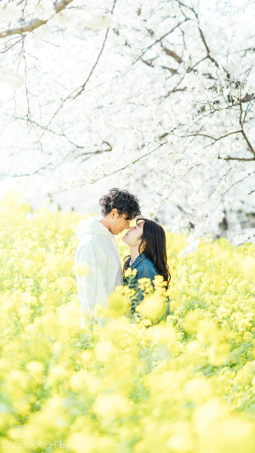 Lovegraph［ラブグラフ］のインスタグラム：「桜と菜の花とカップルフォト👫🌸 ㅤㅤㅤㅤㅤㅤ 今年も全国いろんな地域で桜フォトを 撮影させていただきました☺️✨ ㅤㅤㅤ 今年もあっという間に桜は散って、 次は新緑の季節🌿✨楽しみです☺️🕊️ ㅤㅤㅤㅤㅤㅤ #ラブグラフ #Lovegraph #幸せな瞬間をもっと世界に #フォトウェディング #ロケーションフォト #カップルフォト #カップルの日常 #出張カメラマン」