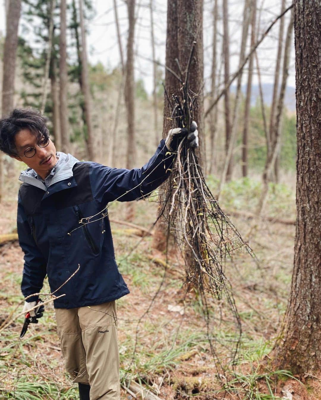 早坂香須子さんのインスタグラム写真 - (早坂香須子Instagram)「7年務めたコスメブランドディレクターを退任し、4月からはゆっくりするぞー！と思っていたのに、なんだかやる事増えてる今日この頃です。笑  まずは私の森のプロジェクト。間伐、ランドスケープ、家作り、森の再生と、春になりいよいよスタートします。  そんな中、森や湖で繋がった友人たちと、4\23にマルシェを立ち上げ、私は実行委員としてお手伝いしているのですが、早々とローカルの素敵なお店やアーティストの出店が決まり、遠方からも循環をテーマにスペシャルな皆様が出店して下さいます。  私は主にSNS担当なのですが、出店情報を書くたびに、出店者のみなさまの哲学と、唯一無二の存在感に、フルフル震えています。  @yanabaforestmarche  のアカウントは、そのまま北アルプスイケてるガイドにもなる（はず）ので、フォローして頂けたら嬉しいです。  森マルシェをやることになって嬉しいのは、森のとのコラボで声かけを頂くことです。  昨日は草木染めを生業とするsolosoloの田澤夫妻 @solosolo.plantdyeing と一緒に森に入り、クロモジを剪定したり、草を摘んだり。 写真5.６枚目はsolosoloさんでオーダーしたくるみ染のリネンドレス。スモーキーな大人ピンクがドキドキする程美しく、今回はどんな手仕事何が生まれるのか、楽しみです✨  森の循環に取り組んでいる @arayamaringyo さんとは、森の香りと木端のアップサイクルコラボが登場するかも？  そして私は森の植物を使ってワークショップをする予定ですので、またお知らせしますね✨  これまで地方に移住した友人たちが「やること多いよー！」と言っていたのは、（けど、楽しいよ）という意味だったのね。」4月8日 20時49分 - kazukovalentine