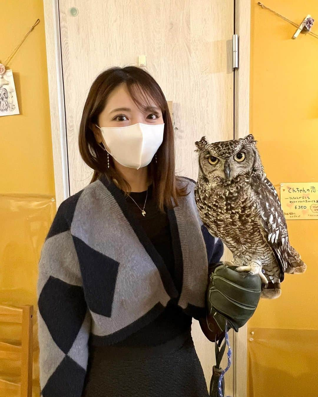 本谷紗己のインスタグラム：「しあわせをよぶフクロウカフェCountry  Owl 🦉✨  夫婦で行ってきました🥰 見ているだけでも癒されるんですが ふれあい方をしっかり教えてくださるので、触らせてもらったり 手に乗せてもらったりと大満喫😋  実はかなり前にロケで伺ったことがあるんです🦉 その時はてんちゃんにおみくじしてもらいました🥰  お隣の爬虫類のお店も 見に行ってきました🥳 フクロウも爬虫類もかわいいです🐍　  最近は動物ふれあいデートが多めです🫶  #岩出市　#和歌山 #さぴ和歌山　#insta_wakayama #wakayama #わくわく編集部 #なんて素敵な和歌山なんでしょう #和歌山カフェ　#カフェ和歌山 #フクロウ　#ふくろう　#ふくろうカフェ #フクロウカフェ  #olw #🦉」