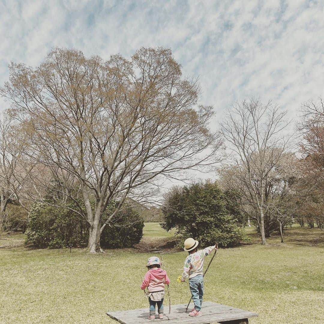 KIKIのインスタグラム：「春なのに秋の空みたい🌸」