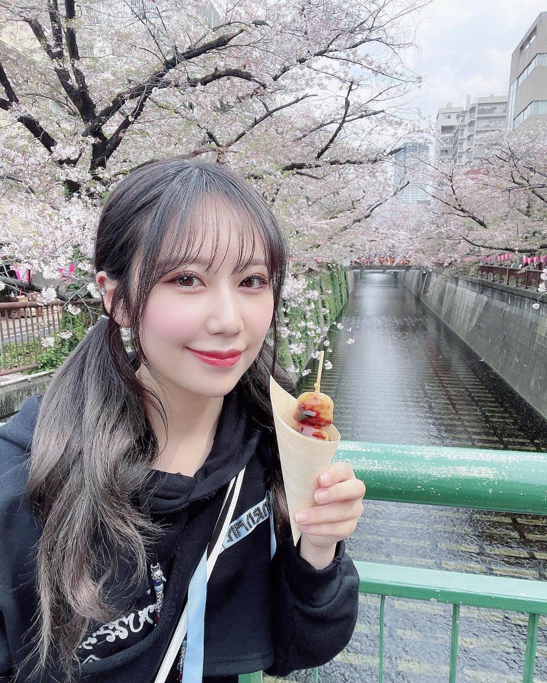 上野遥さんのインスタグラム写真 - (上野遥Instagram)「滑り込み桜🌸！  先日、ゆかちと目黒川へ！ ドヤ顔で東京案内しました！！  去年ちょうど上京してきた時に 妹と目黒川の桜を見にきたのですが、 そこからもう一年経ったのかと思うと早すぎて 怖くなりました！笑  ここで、どうでもいい私の情報ですが 2023年桜味が大好きになりました！！！！  語尾、た！！ばっかりだった！！  #目黒川 #目黒川の桜 #目黒川桜まつり #rurumu #ツインテール なんかしちゃったりなんかしちゃって」4月8日 21時08分 - harutan.pink