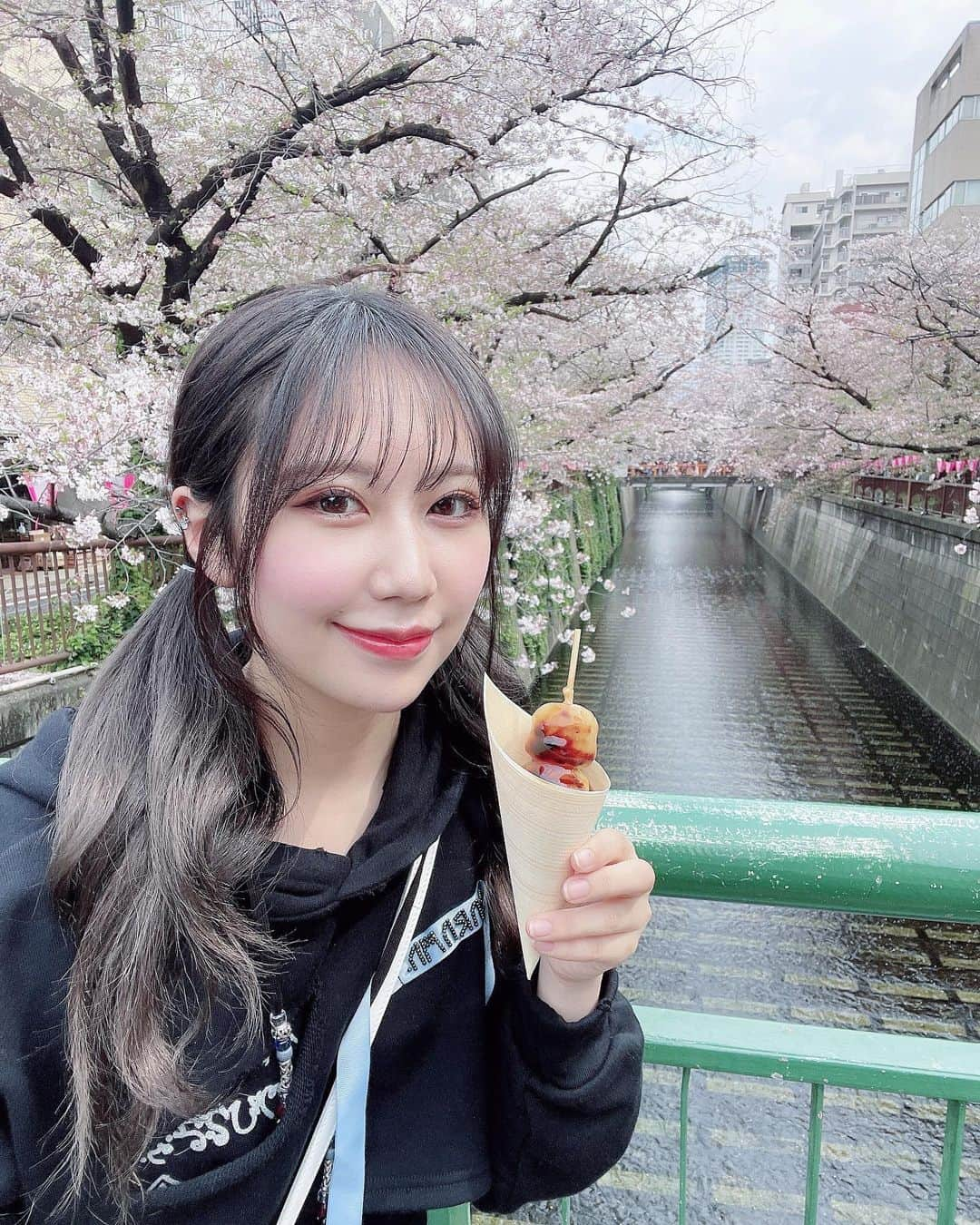 上野遥のインスタグラム：「滑り込み桜🌸！  先日、ゆかちと目黒川へ！ ドヤ顔で東京案内しました！！  去年ちょうど上京してきた時に 妹と目黒川の桜を見にきたのですが、 そこからもう一年経ったのかと思うと早すぎて 怖くなりました！笑  ここで、どうでもいい私の情報ですが 2023年桜味が大好きになりました！！！！  語尾、た！！ばっかりだった！！  #目黒川 #目黒川の桜 #目黒川桜まつり #rurumu #ツインテール なんかしちゃったりなんかしちゃって」