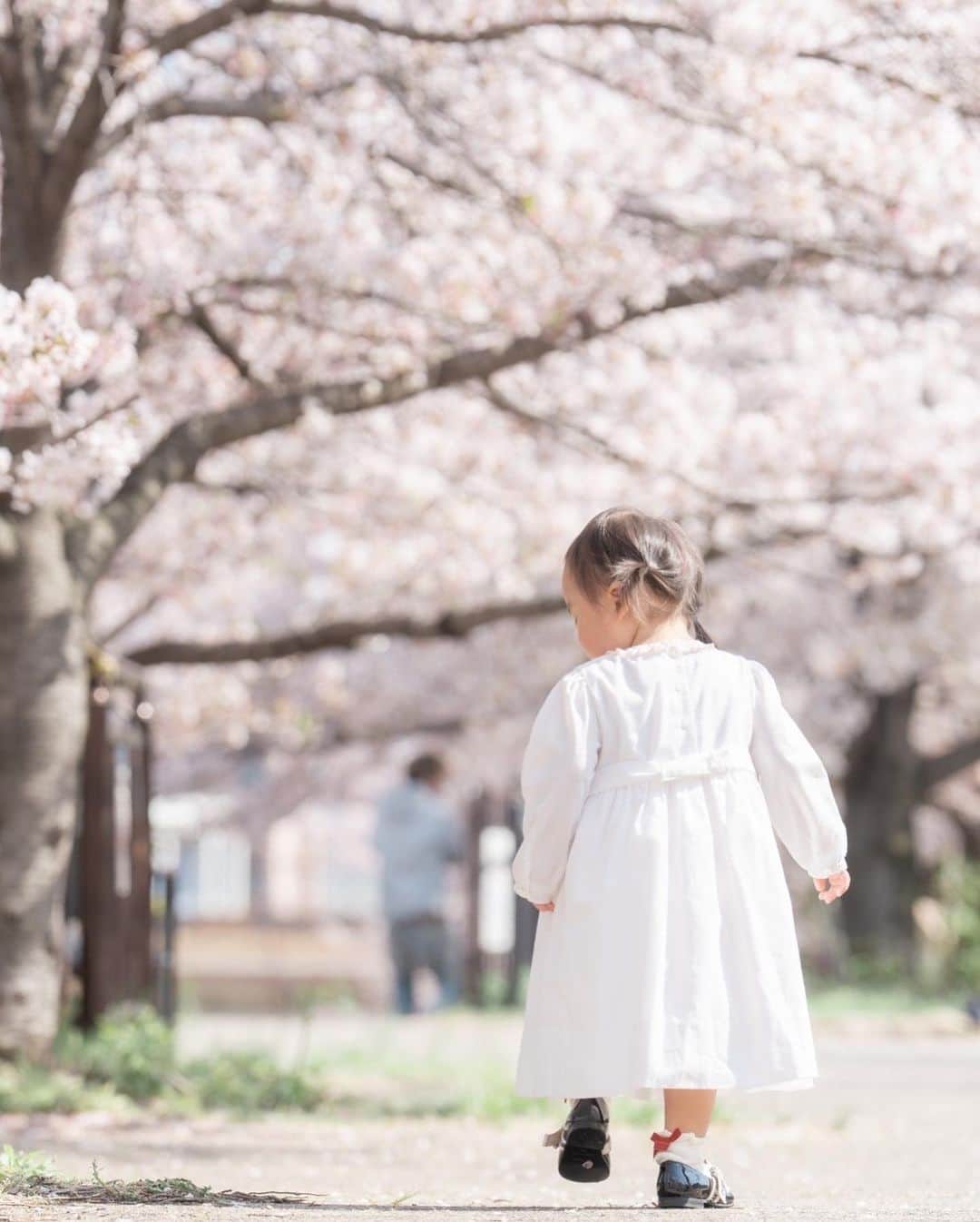 yuiさんのインスタグラム写真 - (yuiInstagram)「. . １歳半の記念に🌸📸 セリちゃん頑張ってくれて有難う🐩❤️🌸 . １歳半になりました👏 . 📸　@yukiharu_okano  #ゆいのママライフ」4月8日 21時35分 - yuiram