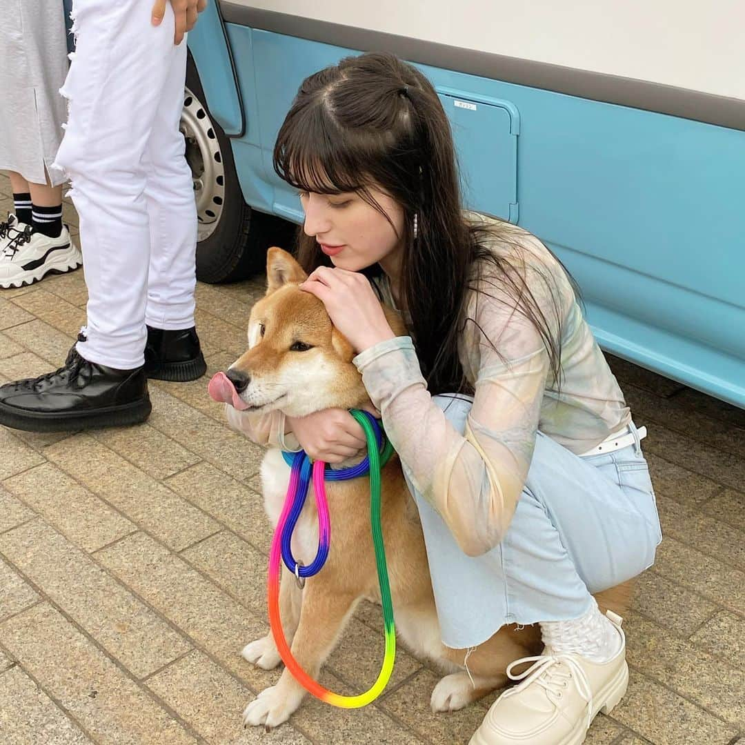 木内舞留さんのインスタグラム写真 - (木内舞留Instagram)「人生で初めて愛犬とランウェイ歩きました...嬉しかったなぁ🐕❣️  直前までずっと緊張してたけど、ちゃんと歩いてくれてありがとうねひーちゃん🐕」4月8日 21時28分 - maru_kiuchi_official