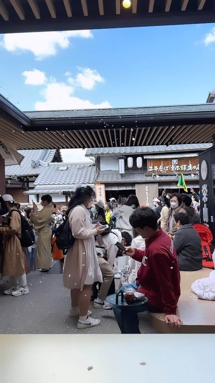 山口淳一のインスタグラム：「Cherry blossom fall. また来年。」