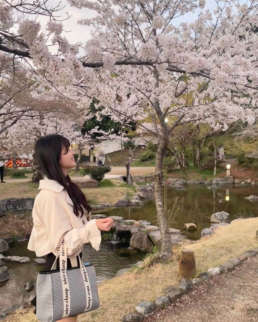 桜田彩叶のインスタグラム：「🌸🌸   #京都 #京都観光  #清水寺  #八坂神社  #トレンチコート  #トレンチコートコーデ  #ブラウス  #niceclaup #春服  #春服コーデ」