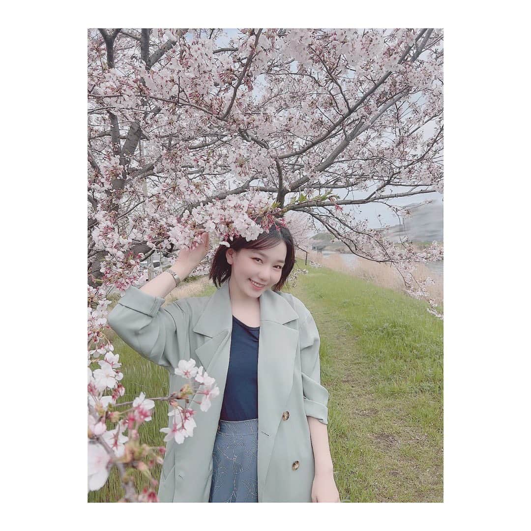 樋口みどりこさんのインスタグラム写真 - (樋口みどりこInstagram)「🌸🌸🌸🍡🍡🍡🌱🌱🌱」4月8日 22時01分 - higuchimidoriko