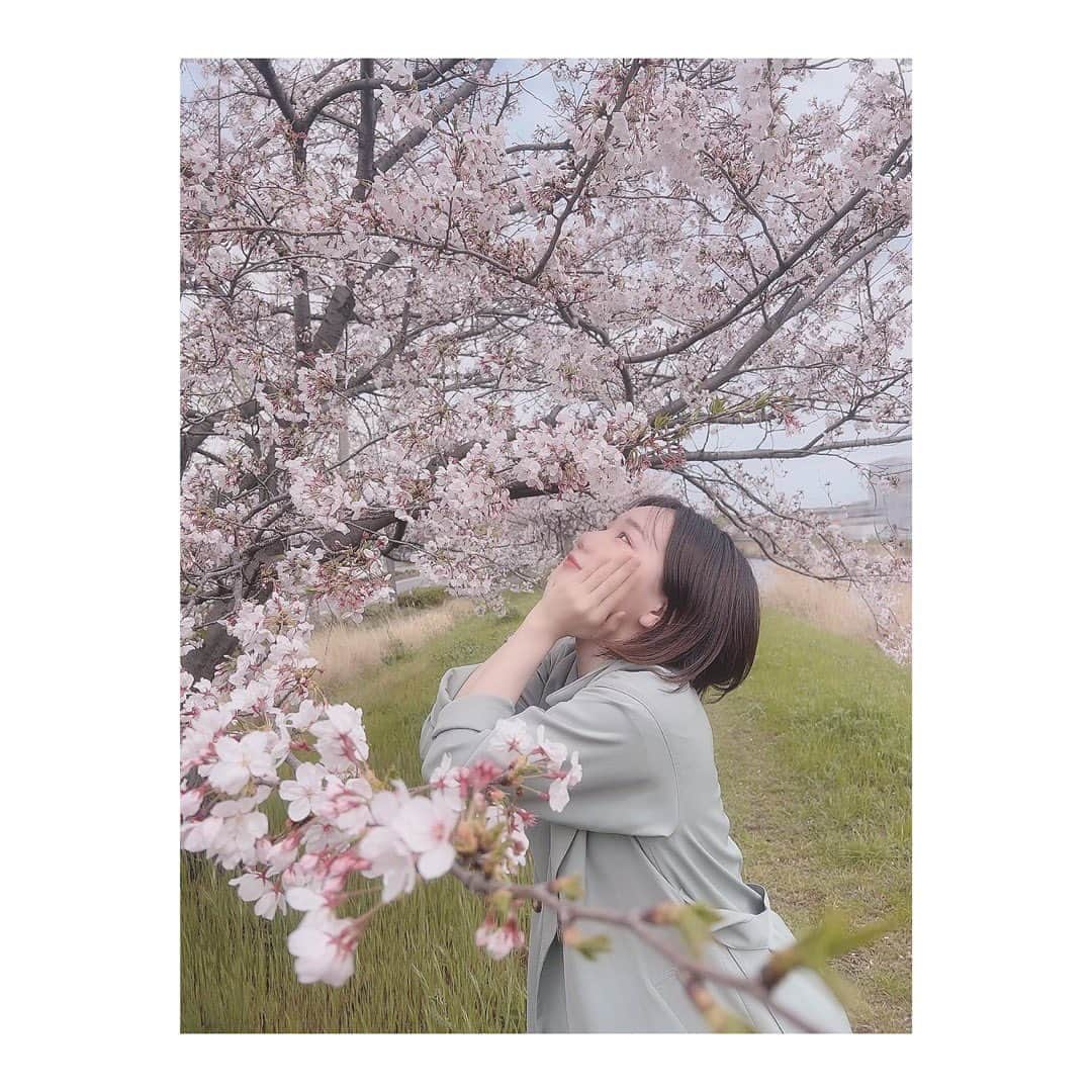 樋口みどりこのインスタグラム：「🌸🌸🌸🍡🍡🍡🌱🌱🌱」