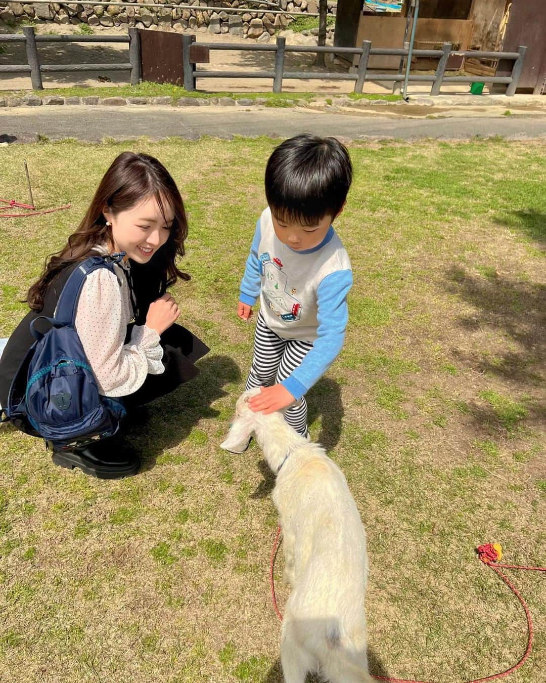 林希乃花のインスタグラム：「別府旅行♨️  別府といえば、温泉地のイメージが強くて子連れでも楽しめるかな？と思ってたけど、意外と遊べる場所が沢山あって息子も大満足な2泊3日になりました❣️  大阪から、さんふらわあで別府港入り🚢  1日目は『アフリカンサファリ』という本格的なサファリパークを楽しみ、2日目は『城島高原パーク』という遊園地で遊びました😊 最後の動画は足ブラ観覧車🎡 息子が乗りたいと言うものだから仕方なく乗ったけど、怖すぎた😂  最終日の3日目は地獄めぐり👹 動物やワニもいたよ！ 足湯にも入れたし、近くには鬼の遊具がある遊び場もあって子連れでも十分楽しめた😆🎶 そこで大分の小学生がいっぱい遊んでくれたのが更に良い思い出☺️ 　 　 　 #別府旅行 #アフリカンサファリ #城島高原パーク #地獄めぐり #別府温泉 #大分旅行 #子連れ旅行 #子連れお出かけ #子連れ大分 #こどものいる暮らし #子連れスポット #幼稚園ママ #年中さん #4歳児ママ #男の子ママ」