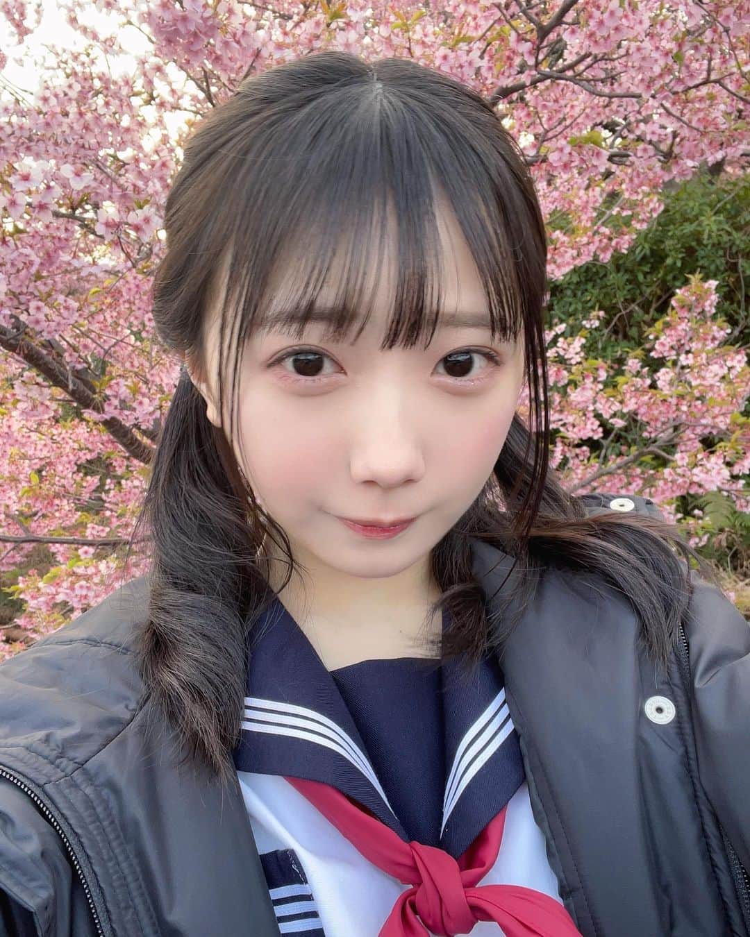 春海りおさんのインスタグラム写真 - (春海りおInstagram)「桜きれい🌸🍃」4月8日 21時59分 - rio_harumi
