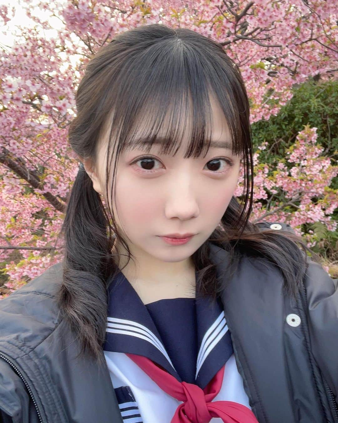 春海りおのインスタグラム：「桜きれい🌸🍃」